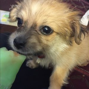 Meet your Posher, Miriam